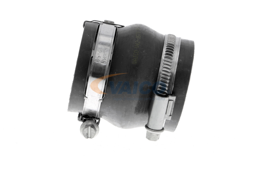 VAICO V42-0570: Kompressoriõhuvoolik Q+, original equipment manufacturer quality