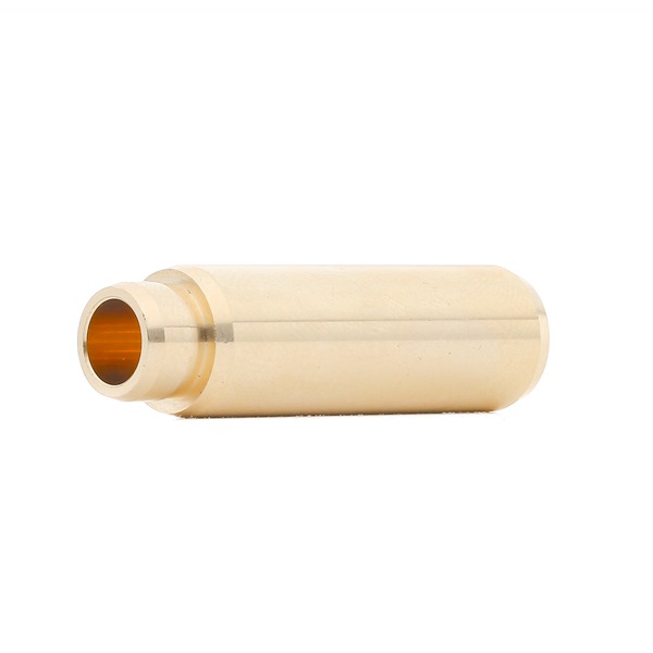BGA VG3145: Guia da válvula
