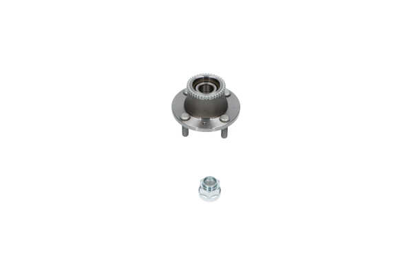 KAVO PARTS WBH-1009: Radlagersatz Hinterachse
