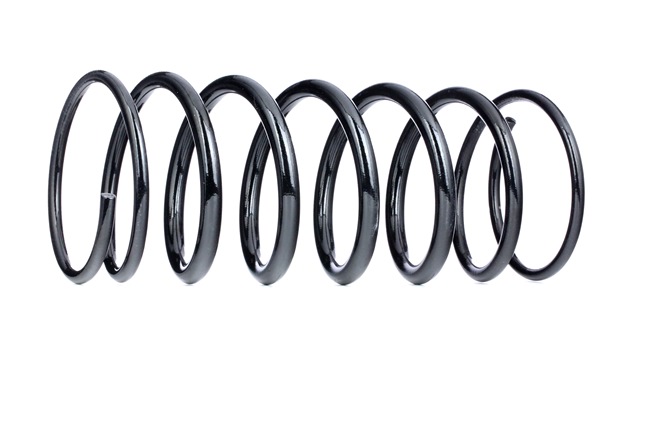 SACHS 996 548: Chassisveer