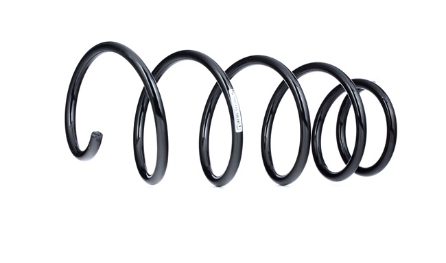 SACHS 998 797: Chassisveer