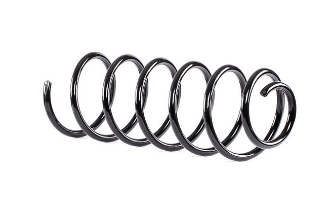 SACHS 998 823: Chassisveer