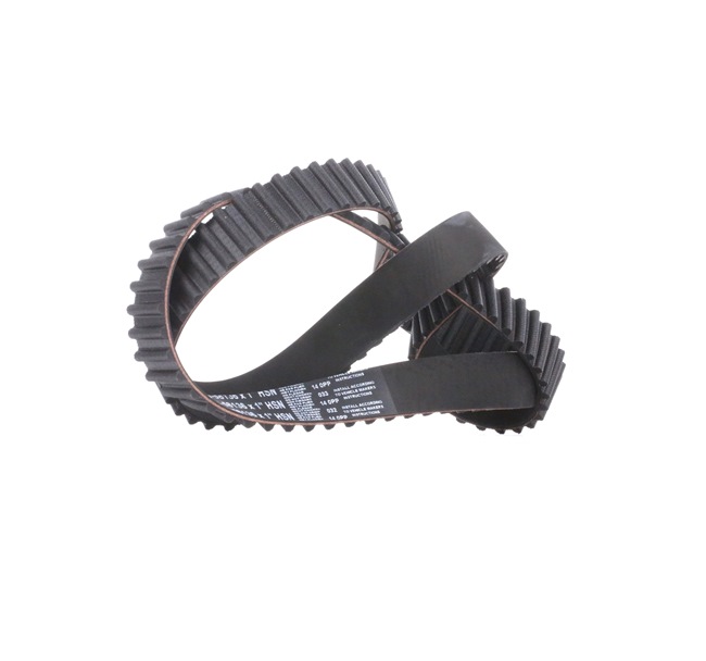 GATES 5049XS: Correia dentada N.º dentes: 136, 1295mm FleetRunner™ Micro-V® Stretch Fit®