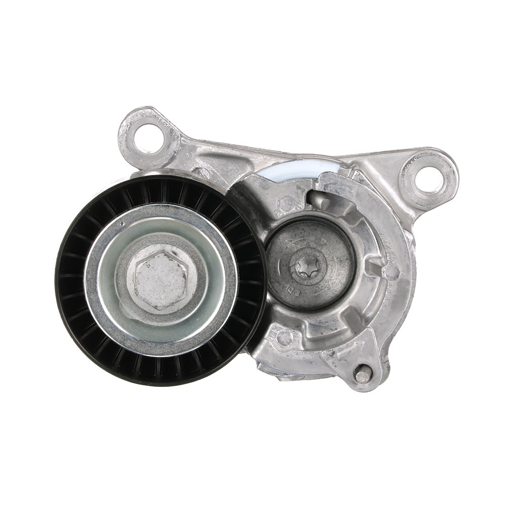 GATES T38206: Rola intinzator, curea transmisie Ř: 65mm, Ř: 65mm FleetRunner™ Micro-V® Kit