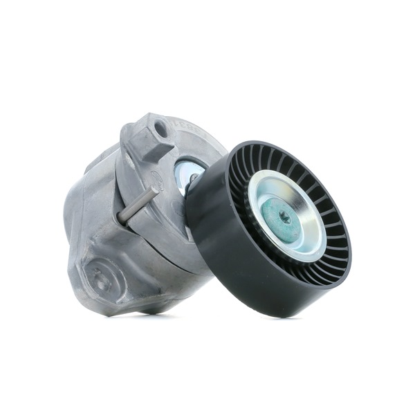 GATES T38319: Napínacia kladka rebrovaného klinového remeňa Ø: 76mm, Ø: 76mm FleetRunner™ Micro-V® Kit