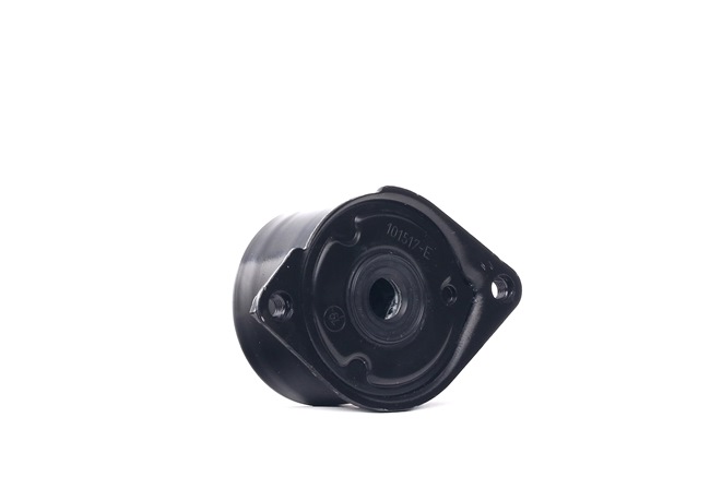 GATES T39006: Rola intinzator, curea transmisie Ř: 70mm, Ř: 70mm FleetRunner™ Micro-V® Kit