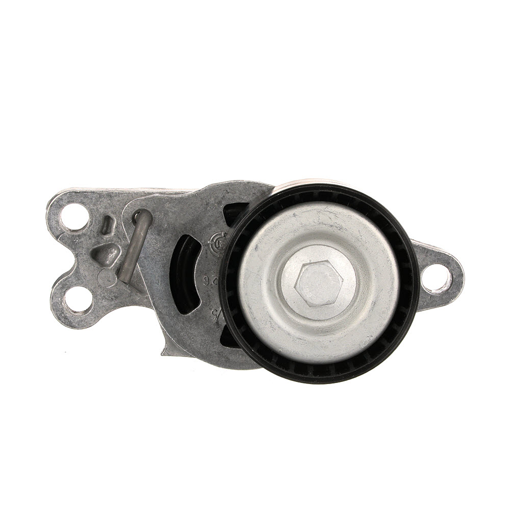 GATES T39055: Rola intinzator, curea transmisie Ř: 60mm, Ř: 60mm FleetRunner™ Micro-V® Kit