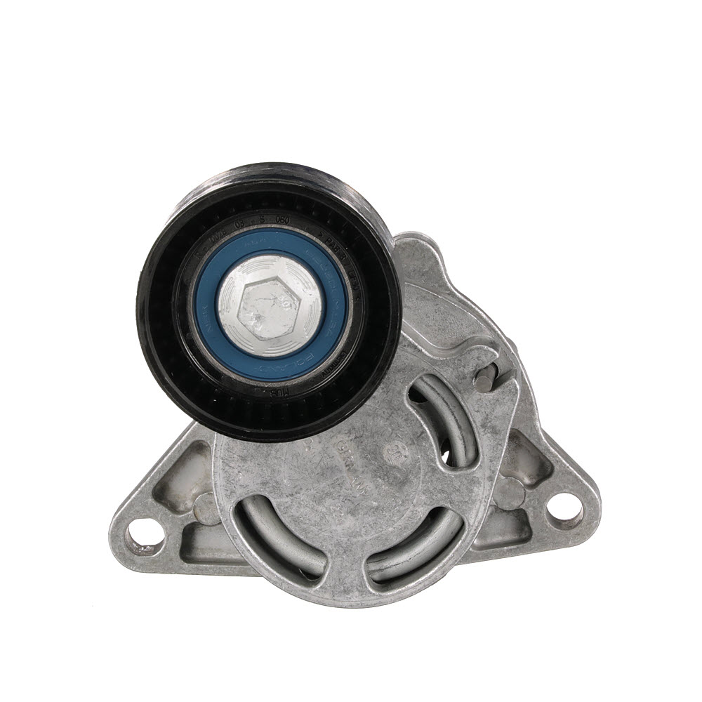 GATES T39086: Rola intinzator, curea transmisie Ř: 60mm, Ř: 60mm FleetRunner™ Micro-V® Kit
