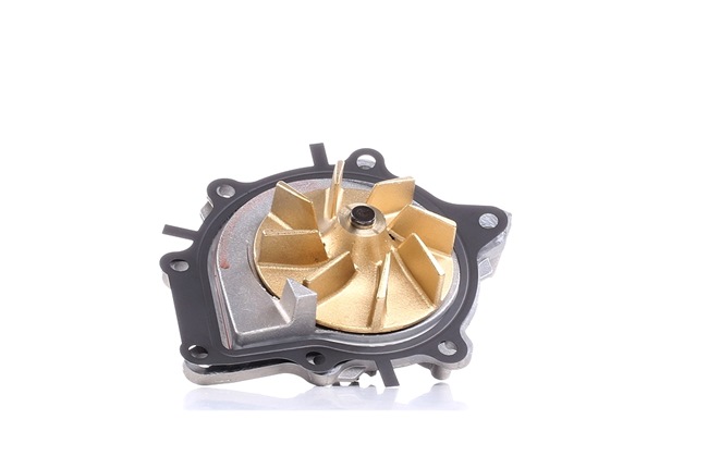 FAI AutoParts WP6100: Vízszivattyú