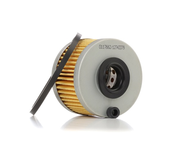 STARK SKFF-0870113: Degvielas filtrs ar blīvgredzenu