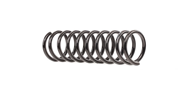 RIDEX 188C0534: Fahrwerksfeder Hinterachse
