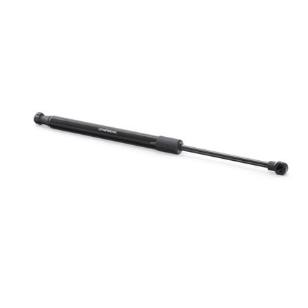 RIDEX 219G0730 Kofferraum RENAULT TWINGO 2 (CN0) 1.6 RS (CN0N, CN0R, CN0S) 133 PS Benzin