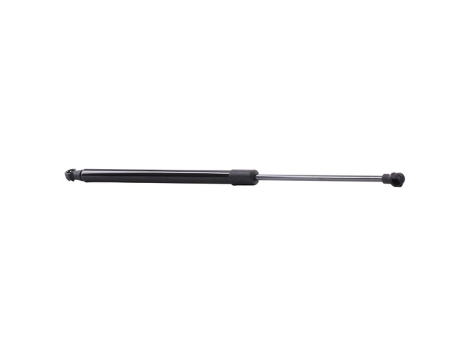 RIDEX 219G0732: Heckklappendämpfer 496mm