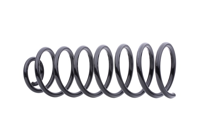 RIDEX 188C0385: Chassisveer JP GROUP Achteras