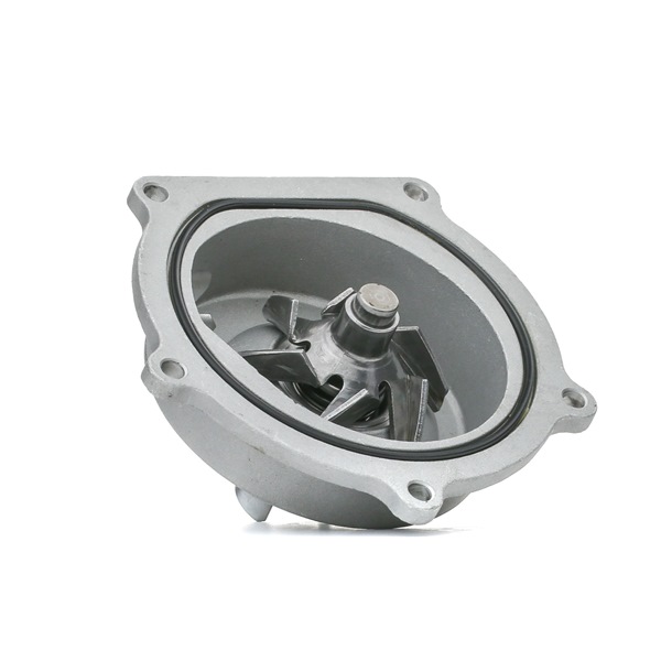 RIDEX 1260W0251: Bomba de água sem tampa
