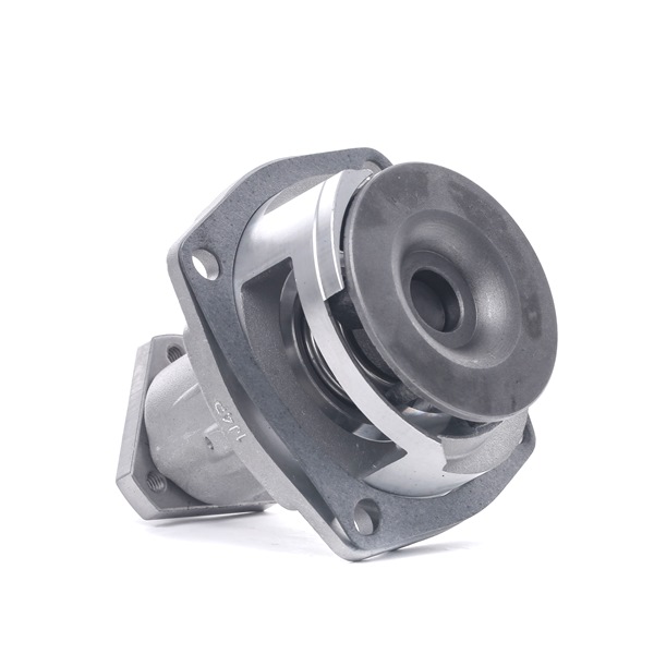 STARK SKWP-0520295: Pompe à eau