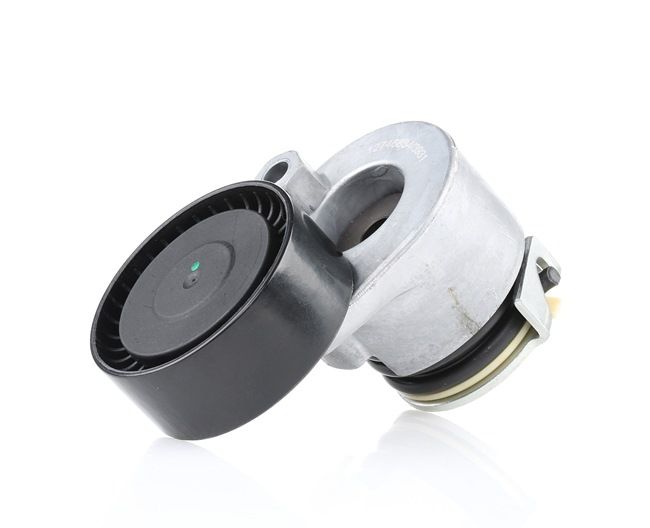 RIDEX 310T0205 Spanrol, poly V-riem RENAULT SCENIC 3 (JZ0/1) 95 Pk Diesel kosten