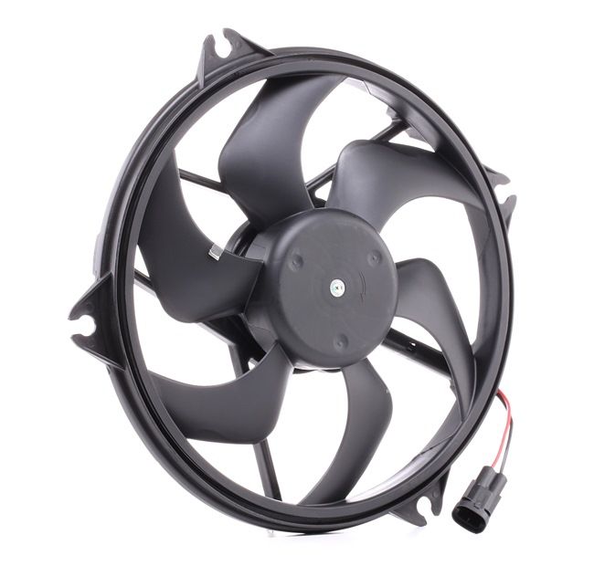 RIDEX 508R0100 Kühlerlüfter CITROЁN C4 Picasso 1 (UD_) 125 PS Benzin Kosten