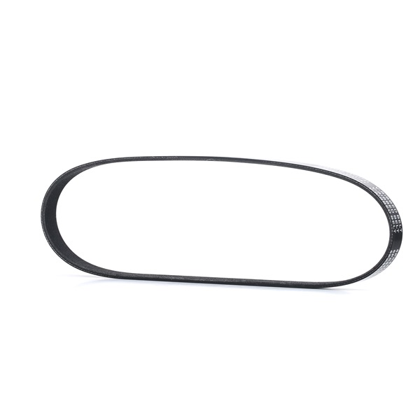 RIDEX 305P0391: Correa trapecial poli V JP GROUP 842mm, Número de nervaduras: 6, Elastic