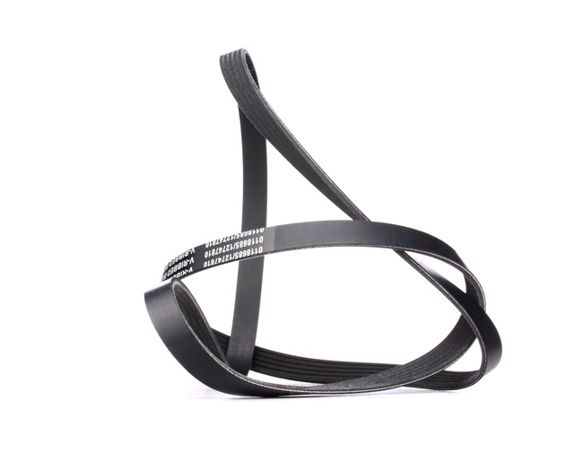 STARK SKPB-0090248: Moniurahihna 1650mm, Kiiloja: 5