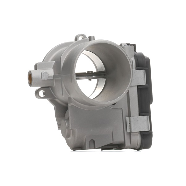 RIDEX 158T0164: Corpo de borboleta