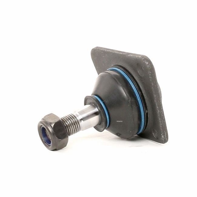 RIDEX 2462S0266 Testina braccio oscillante RENAULT 4 (112_) 34 CV Benzina costo