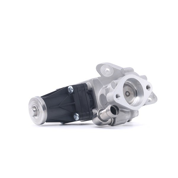 RIDEX 1145E0212: Supapă EGR cu garnituri