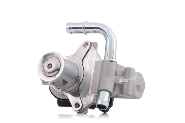 RIDEX 1145E0221 Izpl. gāzu recirkulācijas vārsts RENAULT SCENIC 3 (JZ0/1) 95 ZS Dīzelis cena