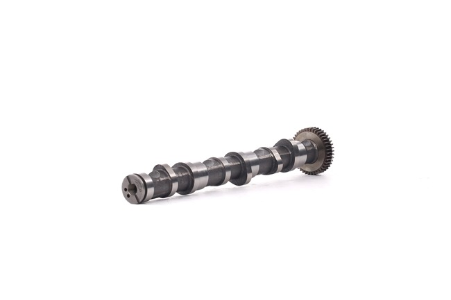 RIDEX 566C0039 Nokkenas VOLKSWAGEN PASSAT Variant (3B6) 163 Pk Diesel kosten