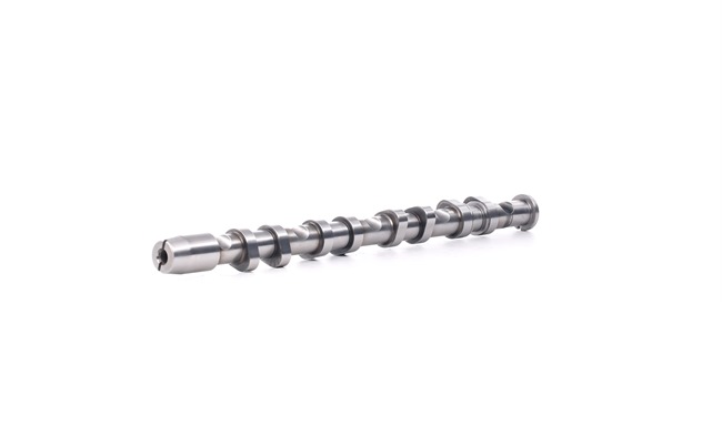 RIDEX 566C0048 Nokkenas AUDI A4 Cabrio (8H7, B6, 8HE, B7) 200 Pk Benzine kosten