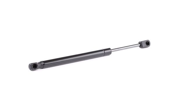 RIDEX 219G0791: Heckklappendämpfer beidseitig