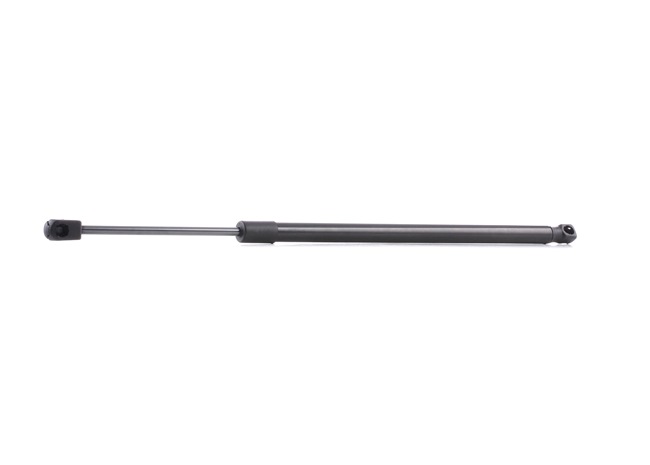 RIDEX 219G0804: Gasveer achterklep 528mm