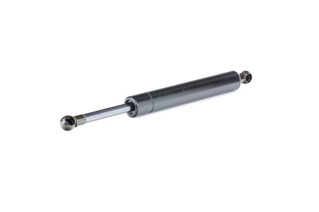 RIDEX 219G0806: Heckklappendämpfer 312,5mm