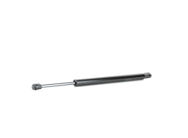 RIDEX 219G0826 Pneumaticka pruzina, zavazadlovy / nakladovy prostor CHRYSLER 300 C Touring (LX, LE) 431 HP Benzín cena