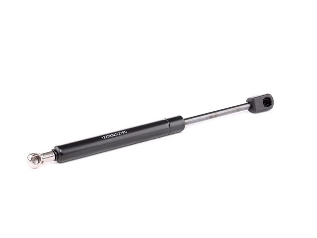 RIDEX 219G0842: Amortizor portbagaj spate, 280mm