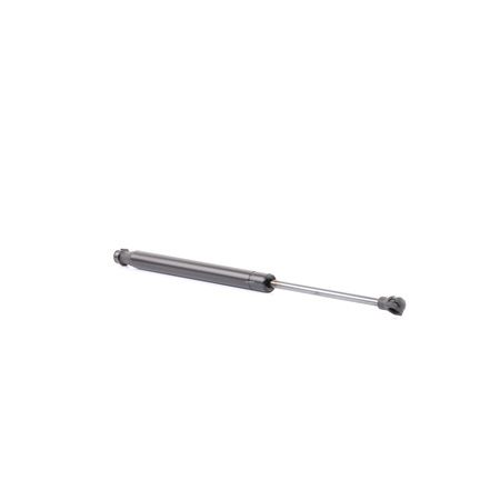 RIDEX 219G0843: Amortizor portbagaj 376mm