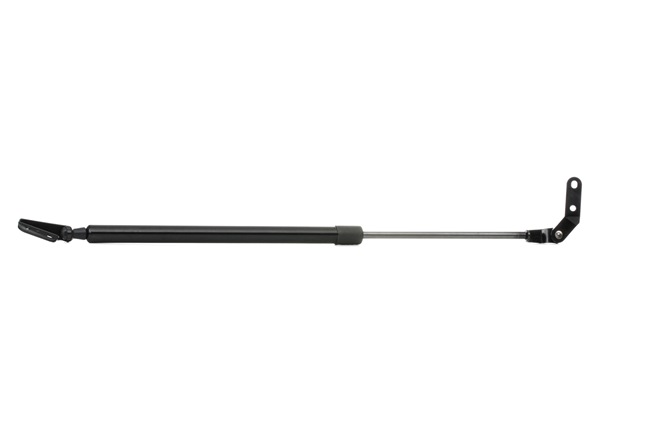 RIDEX 219G0846: Amortizor portbagaj spate stanga, 616mm