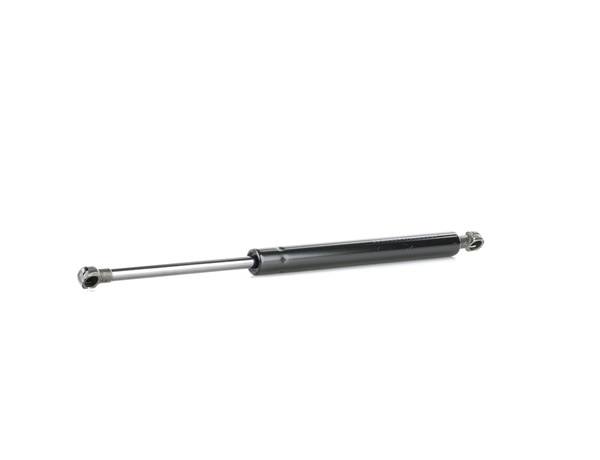 RIDEX 219G0851: Heckklappendämpfer