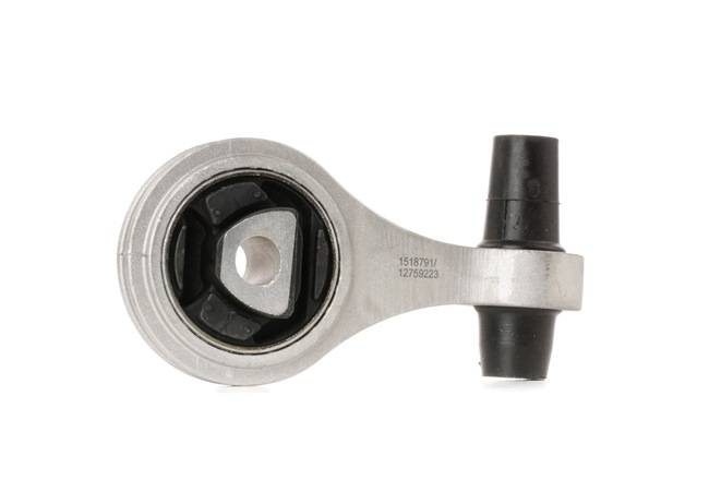 RIDEX 247E0219 Supporto motore LANCIA YPSILON (843) 75 CV Diesel costo