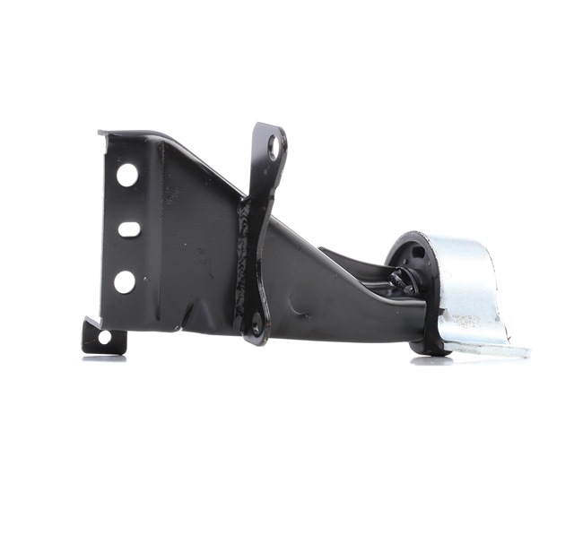 RIDEX 247E0251 Motorsteunlager RENAULT TWINGO 1 (C06) 58 Pk Benzine kosten