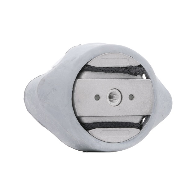 RIDEX 247E0256 Getriebelager VW PASSAT Variant (3B5) 2.5 TDI Syncro/4motion 150 PS Diesel