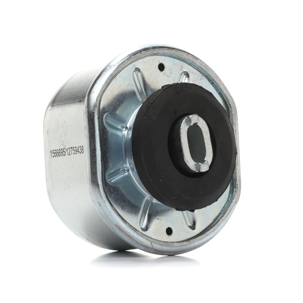 RIDEX 247E0310 Suporte, motor VW TRANSPORTER 4 Bus (70XB, 70XC, 7DB, 7DW) 75 cv Diesel custo