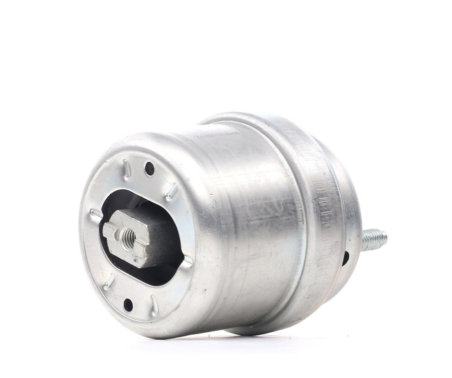 RIDEX 247E0313 Suporte, motor VW TRANSPORTER 4 Bus (70XB, 70XC, 7DB, 7DW) 115 cv Gasolina custo