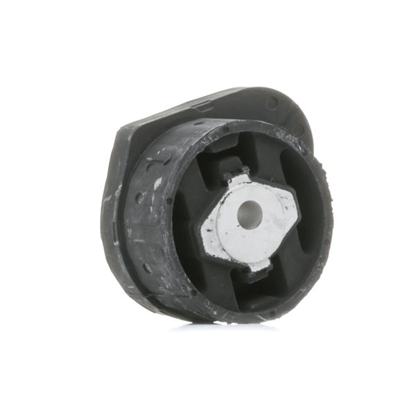 RIDEX 247E0322 Motorophæng BMW 3 Sedan (E46) 231 HK Benzin hvad koster