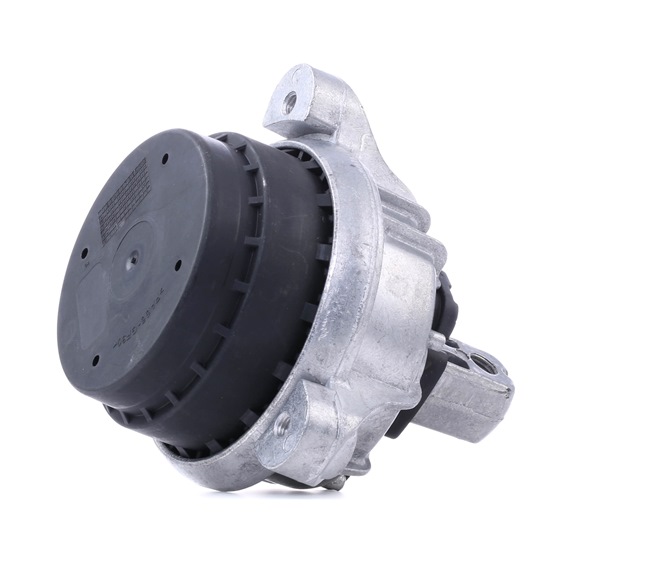 RIDEX 247E0330 Motorophæng BMW 5 Touring (F11) 218 HK Diesel hvad koster