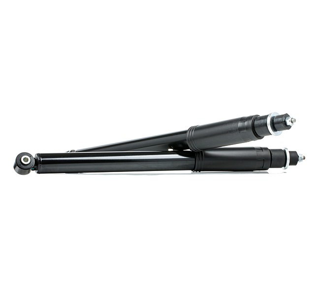 RIDEX 854S2094: Stoßdämpfer PROTECTION KIT Vorderachse, Gasdruck, Teleskop-Stoßdämpfer