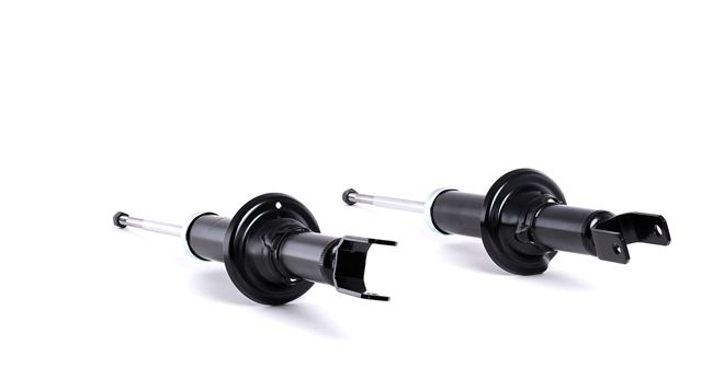 RIDEX 854S2106 Iskunvaimennin RENAULT CLIO 2 (BB0/1/2, CB0/1/2) 58 hv Bensiini hinta