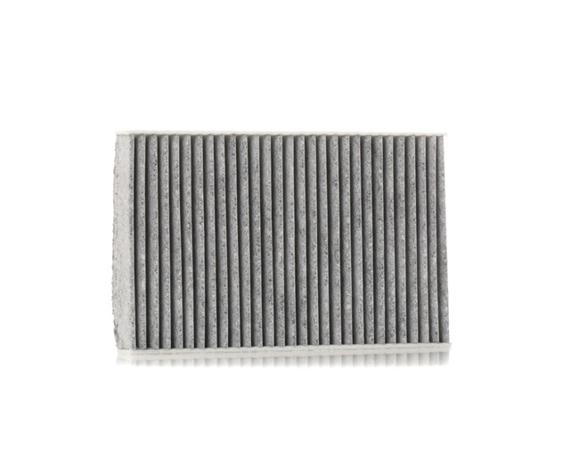 RIDEX 424I0421: Filtrs, Salona telpas gaiss Aktivētās ogles filtrs, Suspendēto vielu filtrs (HEPA)