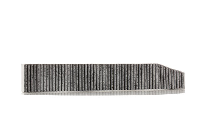 RIDEX 424I0443 Φίλτρο, αέρας εσωτερικού χώρου JEEP GRAND CHEROKEE 2 (WJ, WG) 163 PS Πετρέλαιο κόστος