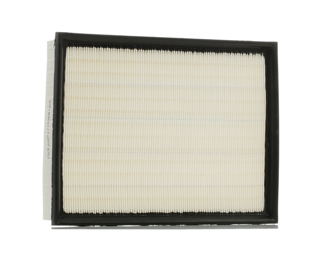 RIDEX 8A0650: Filtro de aire